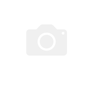 Stavební portálová pila PP300